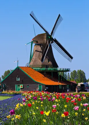 Compare Netherlands Visa Travel Insurance