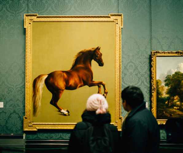 The Houston Museum of Fine Arts