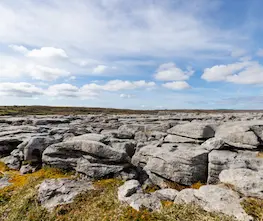 Travel insurance for The Burren