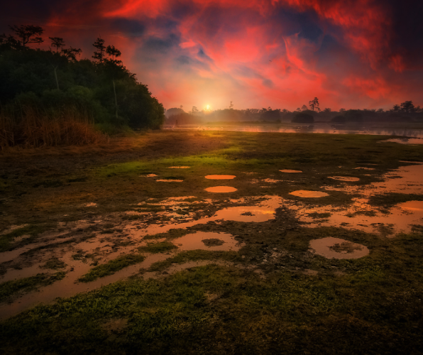 Beddagana Wetland Park