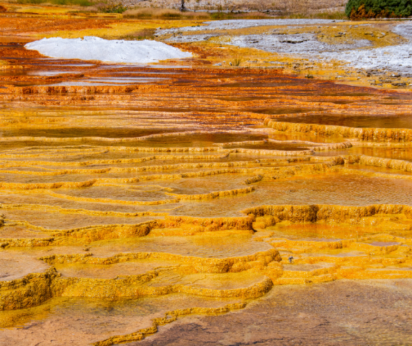 Travel insurance for Yellowstone National Park